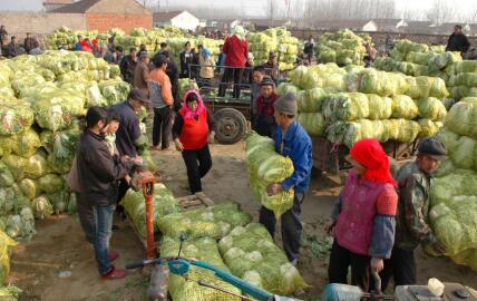 农产品直连零售终端：区块链溯源技术如何解决 “产地到货架” 的信任难题.jpg